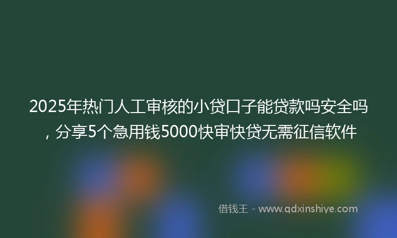 2025年热门人工审核的小贷口子能贷款吗安全吗，分享5个急用钱5000快审快贷无需征信软件