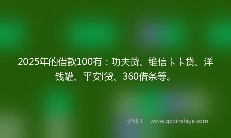 2025年的借款100有：功夫贷、维信卡卡贷、洋钱罐、平安i贷、360借条等。