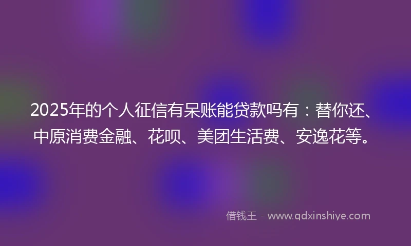 2025年的个人征信有呆账能贷款吗有：替你还、中原消费金融、花呗、美团生活费、安逸花等。