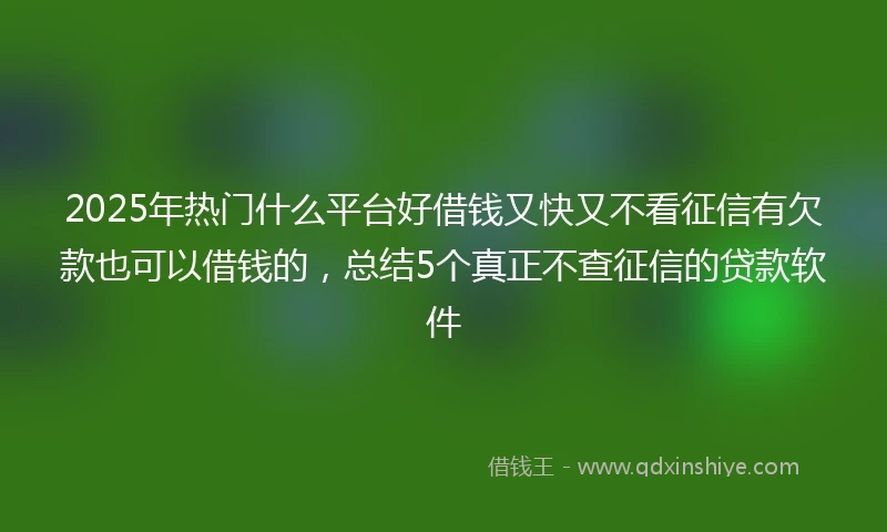 2025年热门什么平台好借钱又快又不看征信有欠款也可以借钱的，总结5个真正不查征信的贷款软件