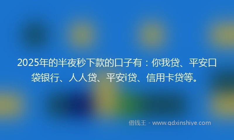 2025年的半夜秒下款的口子有：你我贷、平安口袋银行、人人贷、平安i贷、信用卡贷等。