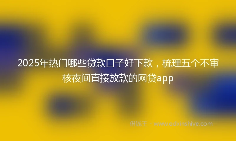 2025年热门哪些贷款口子好下款，梳理五个不审核夜间直接放款的网贷app
