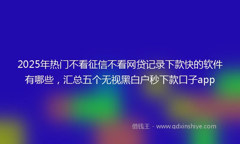 2025年热门不看征信不看网贷记录下款快的软件有哪些，汇总五个无视黑白户秒下款口子app