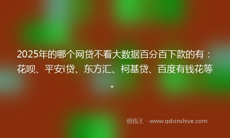2025年的哪个网贷不看大数据百分百下款的有：花呗、平安i贷、东方汇、柯基贷、百度有钱花等。