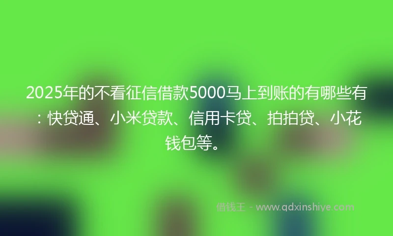 2025年的不看征信借款5000马上到账的有哪些有：快贷通、小米贷款、信用卡贷、拍拍贷、小花钱包等。
