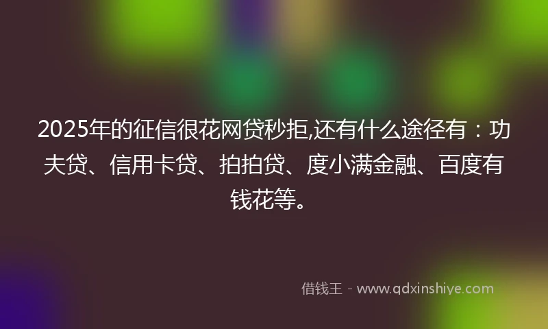2025年的征信很花网贷秒拒,还有什么途径有：功夫贷、信用卡贷、拍拍贷、度小满金融、百度有钱花等。