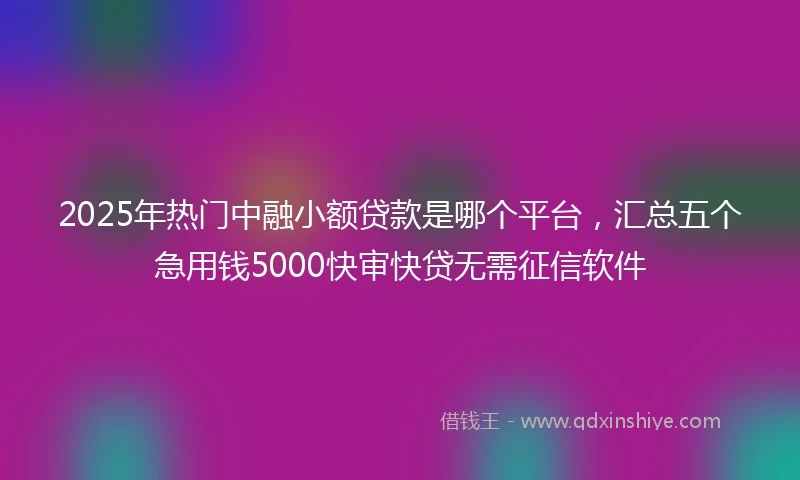2025年热门中融小额贷款是哪个平台，汇总五个急用钱5000快审快贷无需征信软件