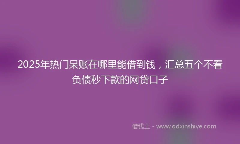 2025年热门呆账在哪里能借到钱,汇总五个不看负债秒下款的网贷口子