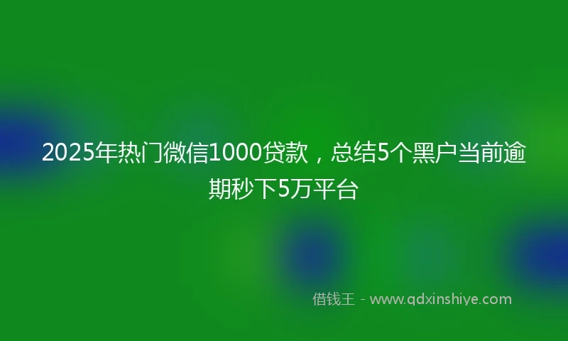 2025年热门微信1000贷款，总结5个黑户当前逾期秒下5万平台