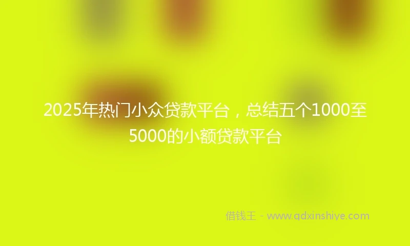 2025年热门小众贷款平台，总结五个1000至5000的小额贷款平台