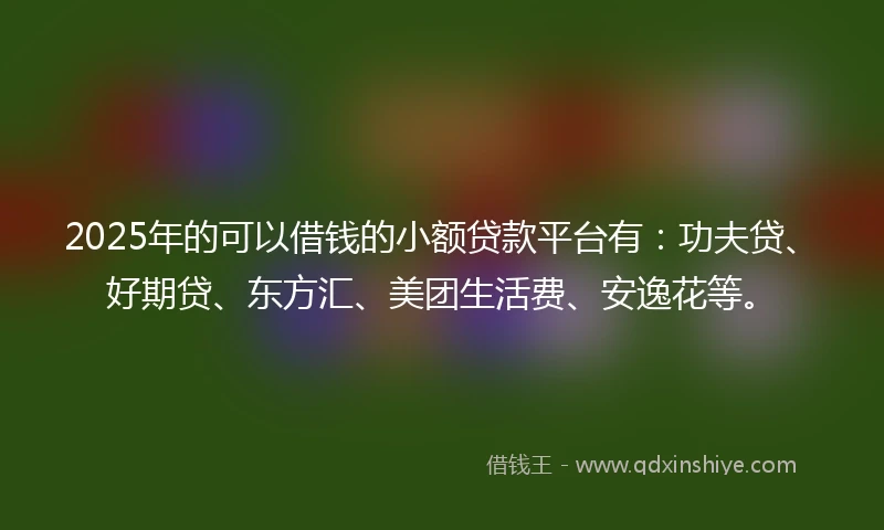 2025年的可以借钱的小额贷款平台有：功夫贷、好期贷、东方汇、美团生活费、安逸花等。