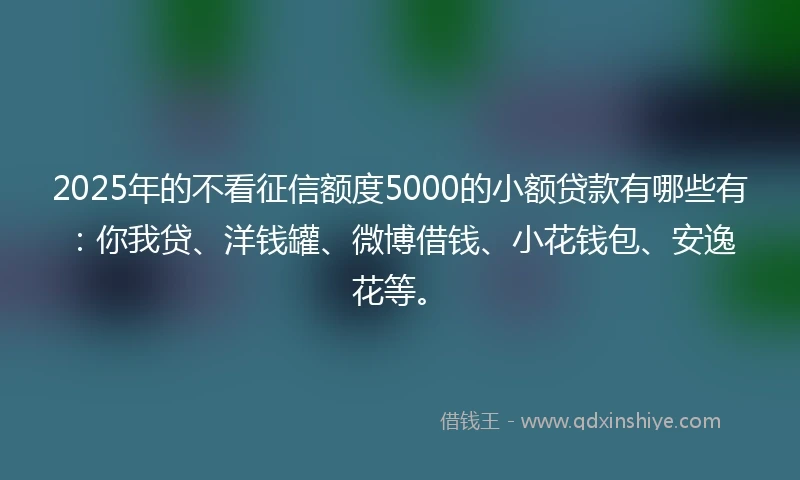 2025年的不看征信额度5000的小额贷款有哪些有：你我贷、洋钱罐、微博借钱、小花钱包、安逸花等。