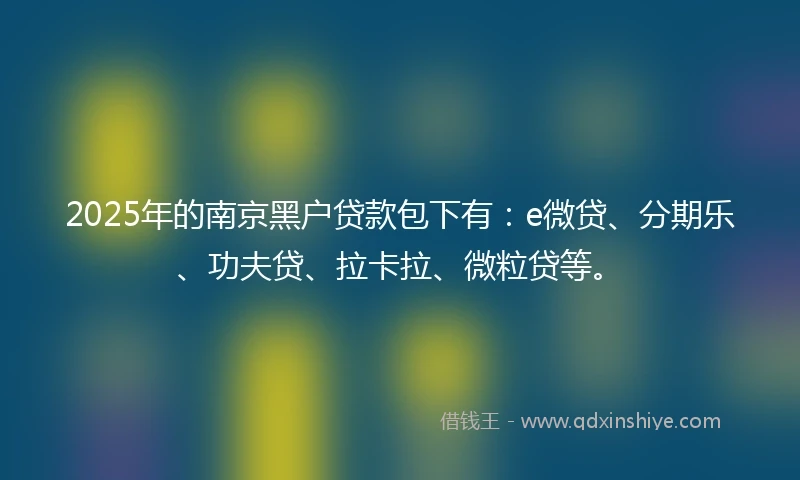 2025年的南京黑户贷款包下有：e微贷、分期乐、功夫贷、拉卡拉、微粒贷等。