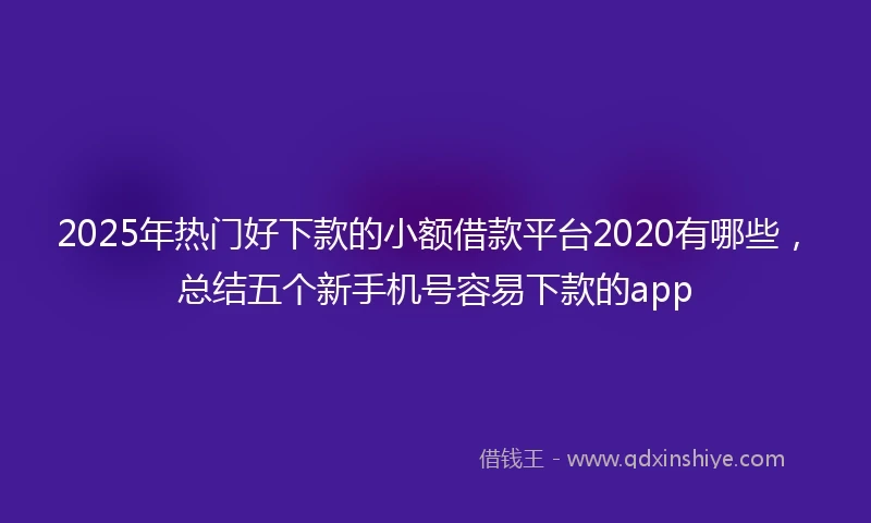 2025年热门好下款的小额借款平台2020有哪些，总结五个新手机号容易下款的app