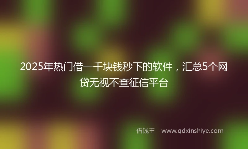2025年热门借一千块钱秒下的软件，汇总5个网贷无视不查征信平台