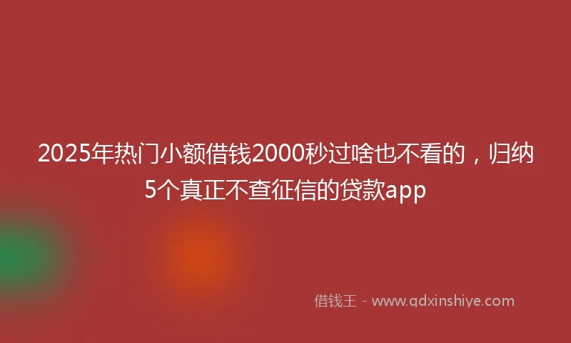 2025年热门小额借钱2000秒过啥也不看的，归纳5个真正不查征信的贷款app