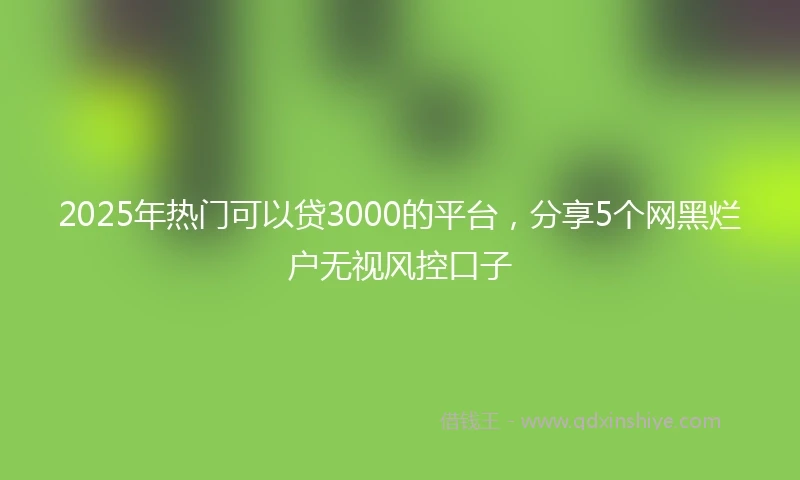 2025年热门可以贷3000的平台，分享5个网黑烂户无视风控口子