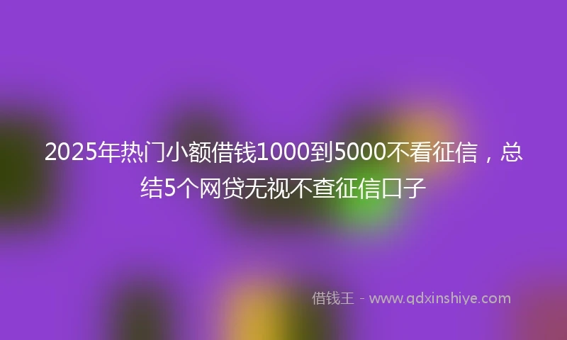 2025年热门小额借钱1000到5000不看征信，总结5个网贷无视不查征信口子
