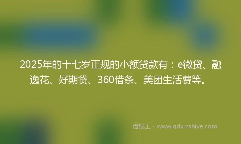 2025年的十七岁正规的小额贷款有：e微贷、融逸花、好期贷、360借条、美团生活费等。