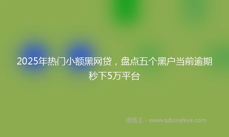 2025年热门小额黑网贷，盘点五个黑户当前逾期秒下5万平台