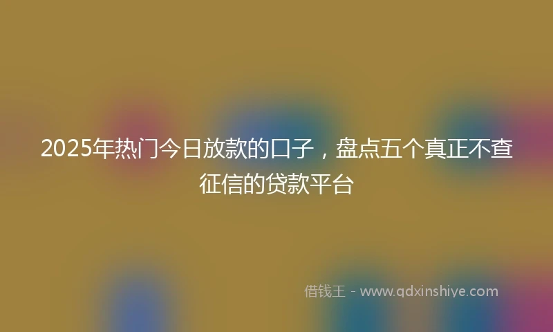 2025年热门今日放款的口子，盘点五个真正不查征信的贷款平台