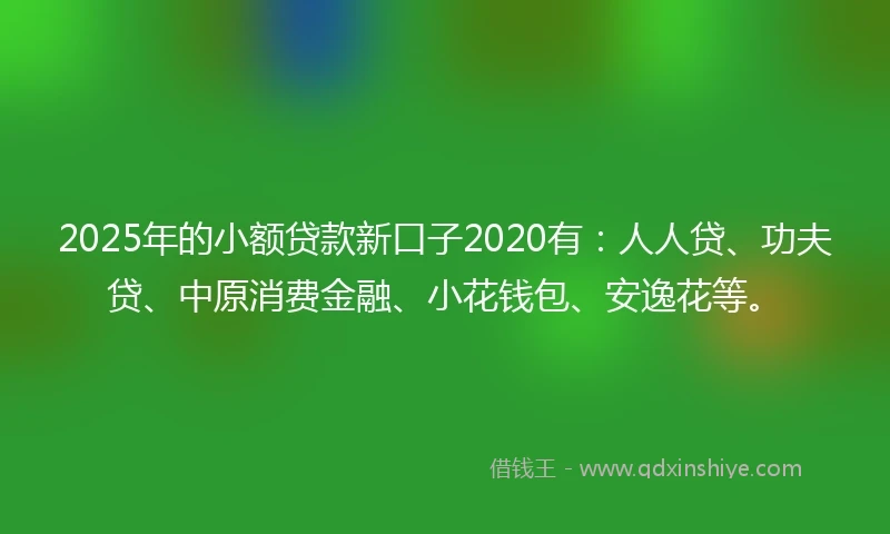 2025年的小额贷款新口子2020有：人人贷、功夫贷、中原消费金融、小花钱包、安逸花等。