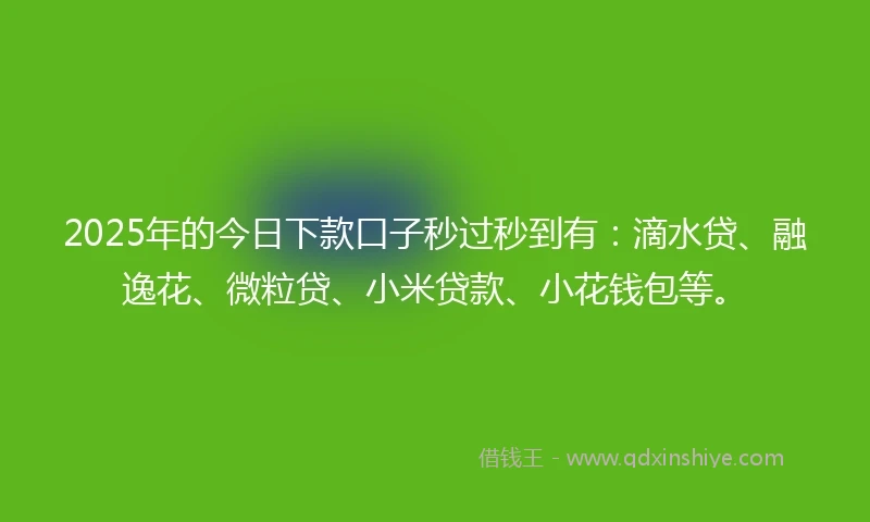 2025年的今日下款口子秒过秒到有：滴水贷、融逸花、微粒贷、小米贷款、小花钱包等。