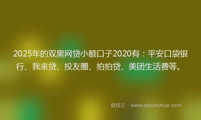 2025年的双黑网贷小额口子2020有：平安口袋银行、我来贷、投友圈、拍拍贷、美团生活费等。