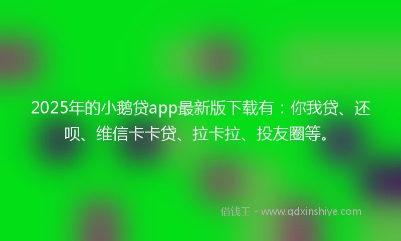 2025年的小鹅贷app最新版下载有：你我贷、还呗、维信卡卡贷、拉卡拉、投友圈等。