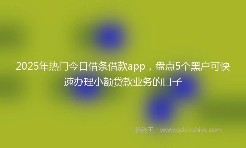 2025年热门今日借条借款app，盘点5个黑户可快速办理小额贷款业务的口子