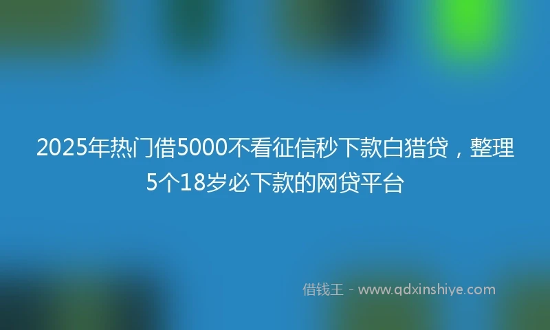 2025年热门借5000不看征信秒下款白猎贷，整理5个18岁必下款的网贷平台