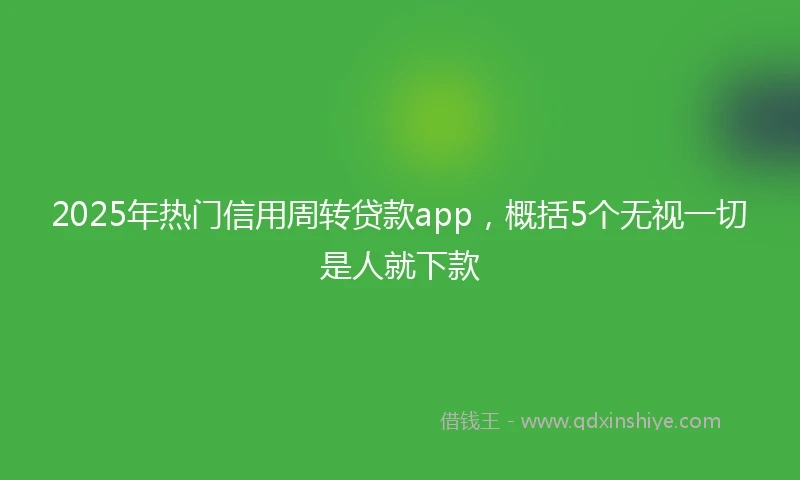 2025年热门信用周转贷款app，概括5个无视一切是人就下款