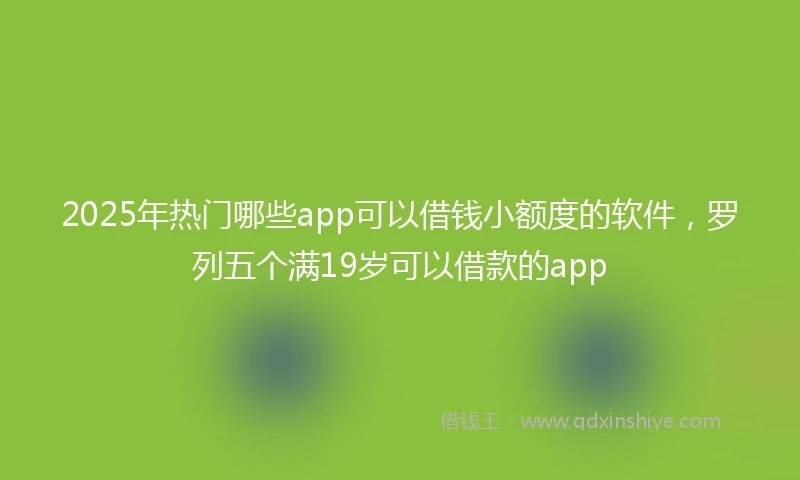 2025年热门哪些app可以借钱小额度的软件，罗列五个满19岁可以借款的app