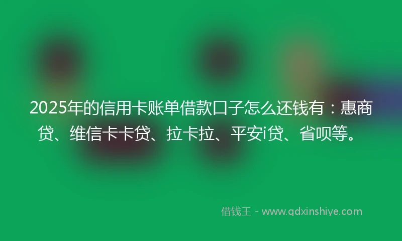 2025年的信用卡账单借款口子怎么还钱有：惠商贷、维信卡卡贷、拉卡拉、平安i贷、省呗等。