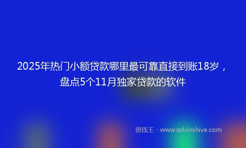 2025年热门小额贷款哪里最可靠直接到账18岁，盘点5个11月独家贷款的软件