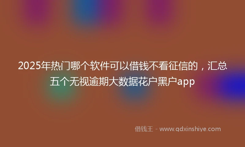 2025年热门哪个软件可以借钱不看征信的，汇总五个无视逾期大数据花户黑户app