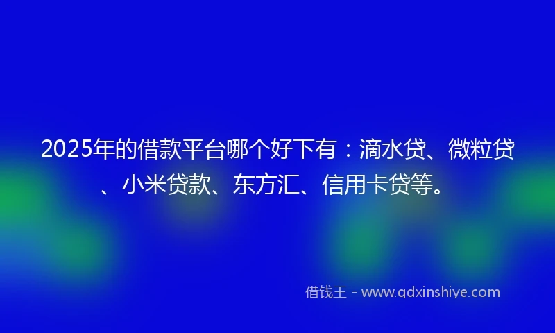 2025年的借款平台哪个好下有：滴水贷、微粒贷、小米贷款、东方汇、信用卡贷等。