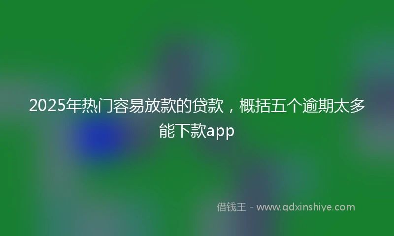 2025年热门容易放款的贷款,概括五个逾期太多能下款app