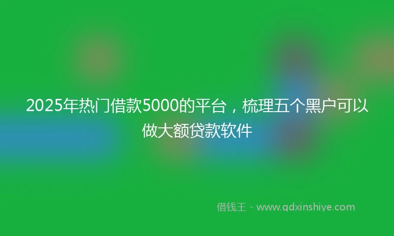 2025年热门借款5000的平台，梳理五个黑户可以做大额贷款软件