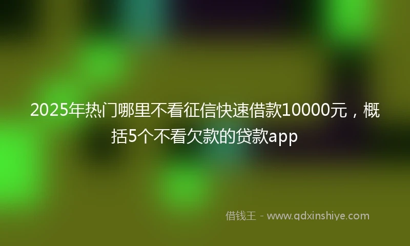 2025年热门哪里不看征信快速借款10000元，概括5个不看欠款的贷款app