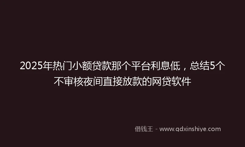 2025年热门小额贷款那个平台利息低，总结5个不审核夜间直接放款的网贷软件
