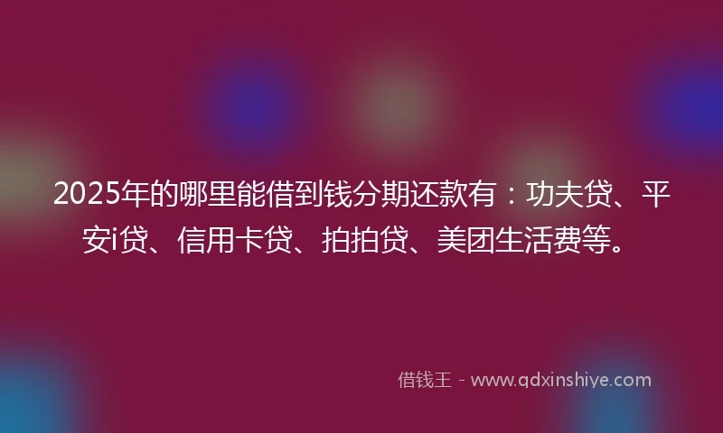 2025年的哪里能借到钱分期还款有：功夫贷、平安i贷、信用卡贷、拍拍贷、美团生活费等。