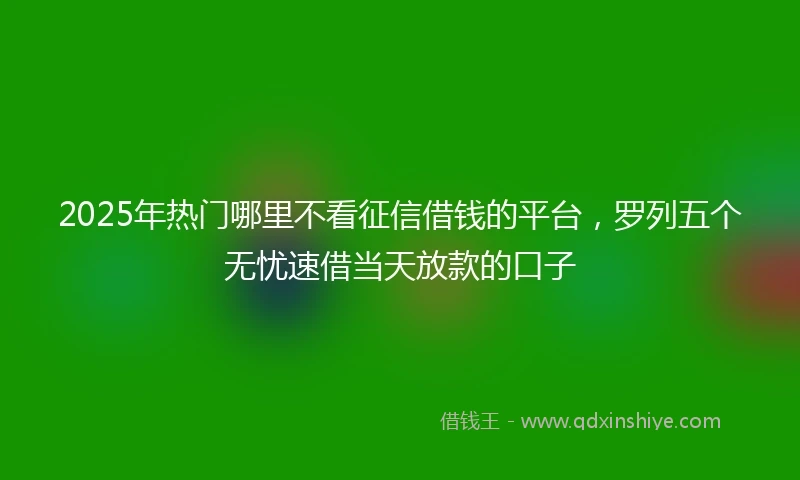 2025年热门哪里不看征信借钱的平台，罗列五个无忧速借当天放款的口子