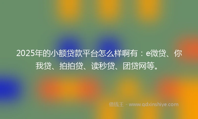 2025年的小额贷款平台怎么样啊有：e微贷、你我贷、拍拍贷、读秒贷、团贷网等。