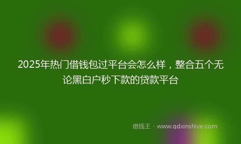 2025年热门借钱包过平台会怎么样，整合五个无论黑白户秒下款的贷款平台