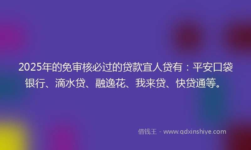 2025年的免审核必过的贷款宜人贷有：平安口袋银行、滴水贷、融逸花、我来贷、快贷通等。