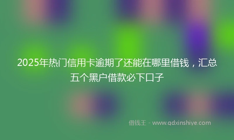 2025年热门信用卡逾期了还能在哪里借钱，汇总五个黑户借款必下口子