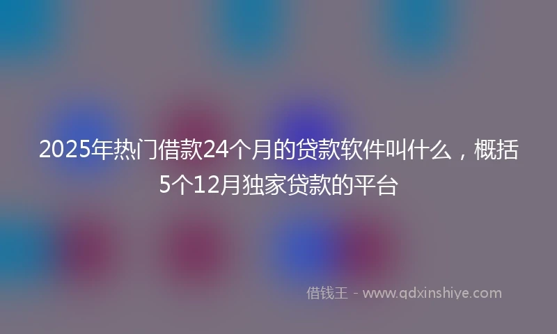 2025年热门借款24个月的贷款软件叫什么，概括5个12月独家贷款的平台