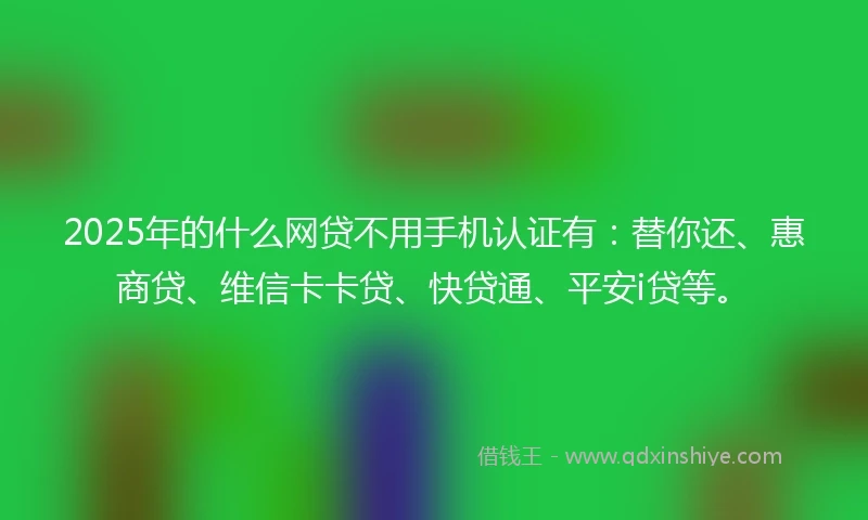 2025年的什么网贷不用手机认证有：替你还、惠商贷、维信卡卡贷、快贷通、平安i贷等。