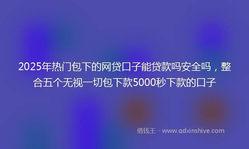 2025年热门包下的网贷口子能贷款吗安全吗，整合五个无视一切包下款5000秒下款的口子